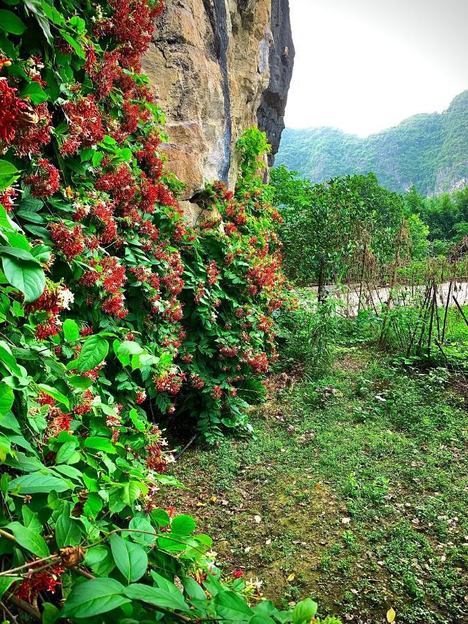 Trang An Valley Bungalow Ninh Binh Zewnętrze zdjęcie